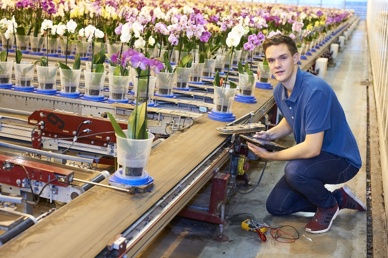 Jongen aan het werk met planten