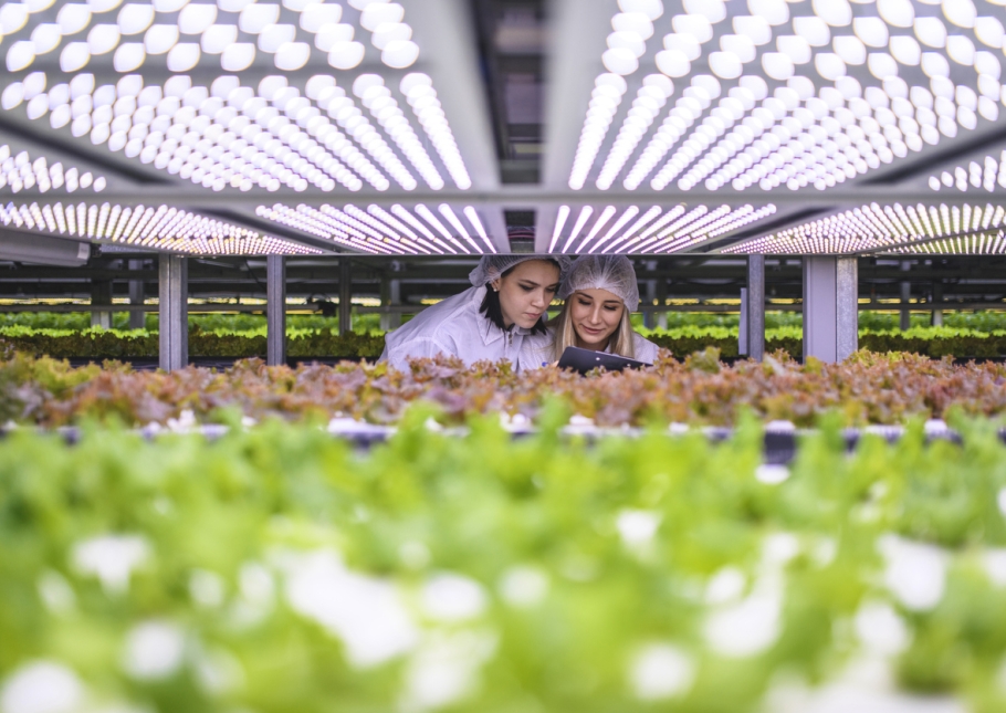 Twee studenten tussen de plantjes op Horti Science Park
